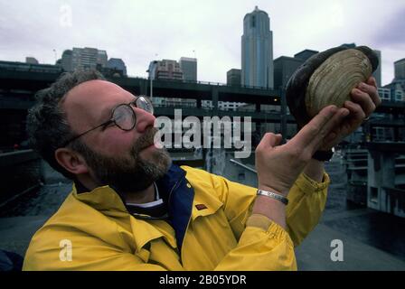 USA, WASHINGTON, SEATTLE, DAVID GORDON MIT GEODUCK, SEATTLE SKYLINE IM HINTERGRUND Stockfoto