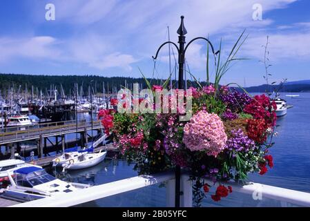USA, WASHINGTON, SAN JUAN ISLANDS, FREITAGHAFEN, BLUMENKORB Stockfoto