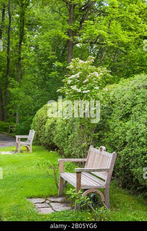 Hohe hintere Holzsitzbänke auf Flaggesteinen im grünen Rasen und begrenzt von Thuja occidentalis - Zedernbaumhecke im späten Frühjahr. Stockfoto