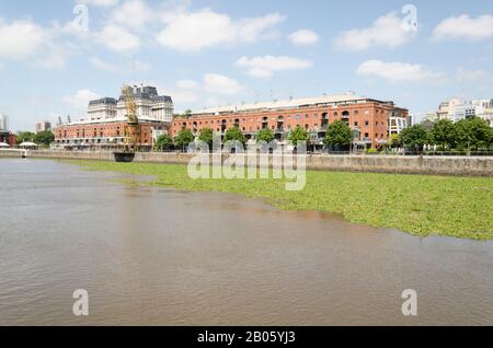 Ungewöhnliche Sicht auf Puerto Madero: Wasseroberfläche bedeckt von gewöhnlichem Wasserhyazinthe, Eichhornia crassipes, in Buenos Aires, Argentinien, im Sommer 2016 Stockfoto