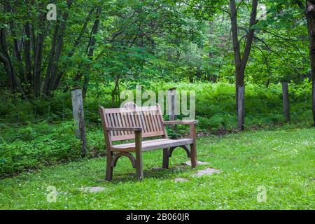 Hohe hintere Holzsitzbank auf Fahnensteinen in Weissblüten neben eingezäuntem Laubwald, Pteridophyta - Fern Pflanzen. Stockfoto