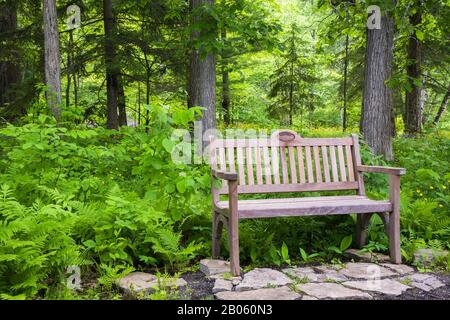 Hohe hintere Holzsitzbank auf Flaggesteinen neben dem von Wald von Quercus abgegrenzten Schotterweg - Eiche, Coniferbäume, Pteridophyta - Farnpflanzen. Stockfoto