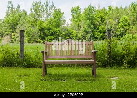 Hohe hintere Holzsitzbank auf grünem Rasen gegen einen Holzpfosten und Metalldrahtzaun im späten Frühjahr, Domaine Joly-De Lotbiniere Estate Garden. Stockfoto