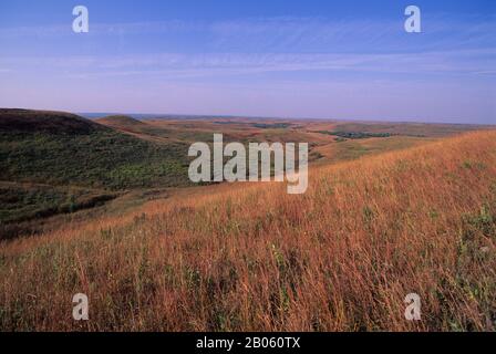 USA, KANSAS, MANHATTAN, KONZA PRAIRIE ERFORSCHEN NATURRAUM, LANDSCHAFT Stockfoto