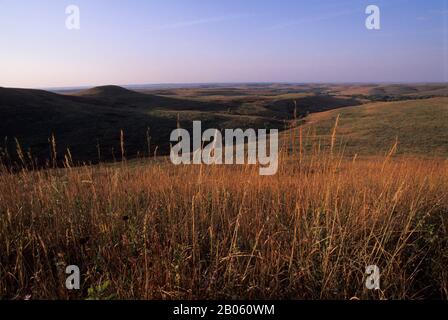 USA, KANSAS, MANHATTAN, KONZA PRAIRIE ERFORSCHEN NATURRAUM, LANDSCHAFT Stockfoto