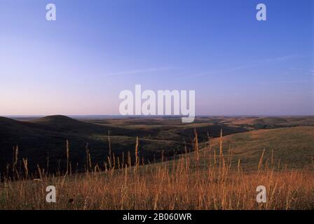 USA, KANSAS, MANHATTAN, KONZA PRAIRIE ERFORSCHEN NATURRAUM, LANDSCHAFT Stockfoto