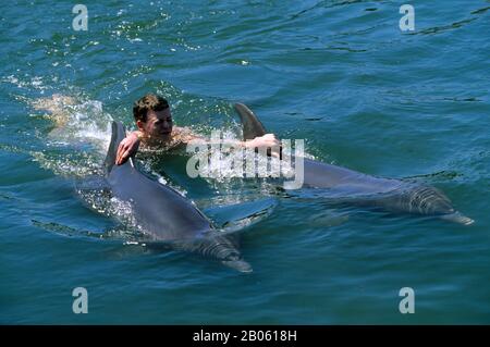 USA, FLORIDA, GRASS KEY, DOLPHIN FORSCHUNGSZENTRUM, SCHWIMMEN MIT DEM DELFIN-PROGRAMM Stockfoto