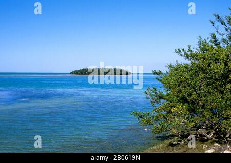 USA, FLORIDA, GROSSER PINIENSCHLÜSSEL, MANGROVEN Stockfoto