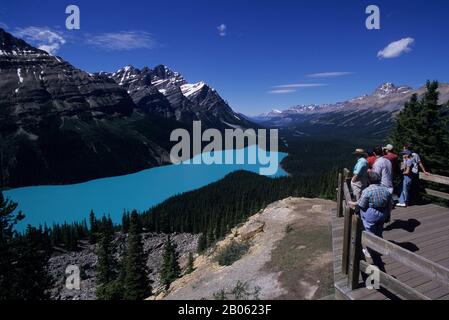 KANADA, ALBERTA, BANFF NATIONAL PARK, PEYTO LAKE, OVERLOOK, TOURISTEN Stockfoto