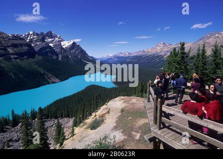 KANADA, ALBERTA, BANFF NATIONAL PARK, PEYTO LAKE, OVERLOOK, TOURISTEN Stockfoto