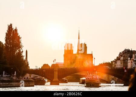 Kathedrale Notre Dame de Paris Stockfoto