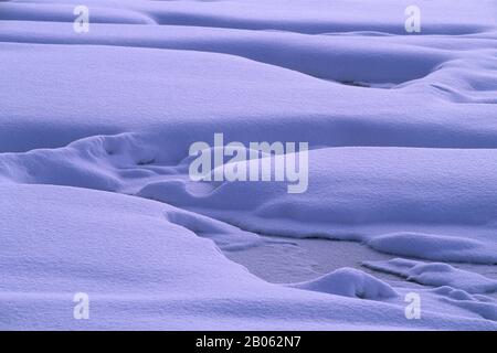 USA, WYOMING, YELLOWSTONE NATIONALPARK, FOUNTAIN PAINT POT-BEREICH, SCHNEE, WINTERSZENE Stockfoto