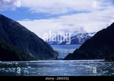 USA, ALASKA, IN DER NÄHE VON JUNEAU, TRACY ARM, SOUTH SAWYER GLETSCHER IM HINTERGRUND Stockfoto