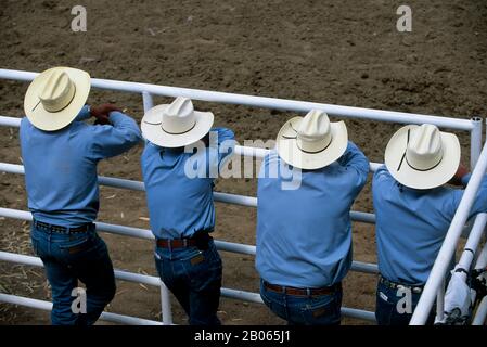 KANADA, ALBERTA, CALGARY, CALGARY STAMPEDE, STAMPEDE SCENE, COWBOYS BEOBACHTEN Stockfoto