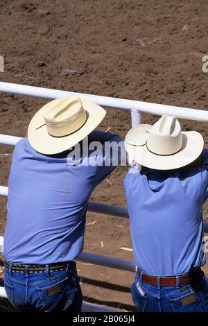 KANADA, ALBERTA, CALGARY, CALGARY STAMPEDE, STAMPEDE SCENE, COWBOYS BEOBACHTEN Stockfoto