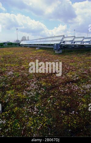 USA, MICHIGAN, IN DER NÄHE VON DETROIT, DEARBORN, WERKSFÜHRUNG VON FORD ROUGE, PFLANZEN AUF DEM GRÖSSTEN LEBENDEN DACH, SOLARPANEELE Stockfoto
