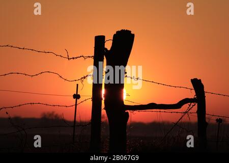 Kansas Blazing Orange und Yellow Sunset mit einer Fenceline Silhouette. Stockfoto