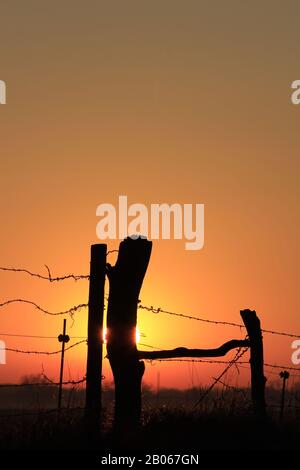 Kansas Blazing Orange und Yellow Sunset mit einer Fenceline Silhouette. Stockfoto