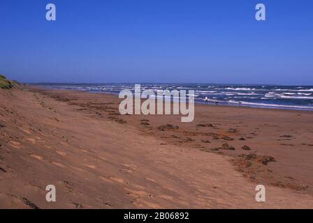 KANADA, PRINCE EDWARD ISLAND NATIONALPARK, IN DER NÄHE VON DALVAY, SANDDÜNEN, STRAND Stockfoto