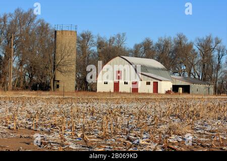 Kansas Country Barn mit Schnee, blauem Himmel und Corn-Stoppelung im Land mit Bäumen. Stockfoto