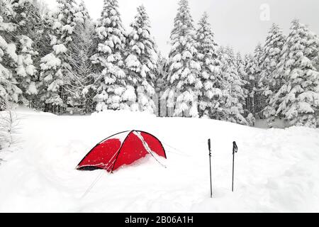 Das rote Zelt und die Wanderstöcke, der natürliche Schneehügel in Japan Yatsugatake-Berge Stockfoto