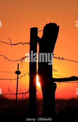 Kansas Blazing Orange und Yellow Sunset mit einer Fenceline Silhouette. Stockfoto