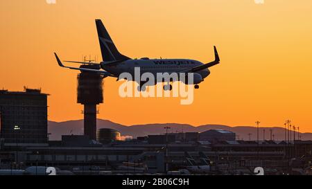 Richmond, British Columbia, Kanada. Februar 2020. Eine Boeing 737-700, die zu WestJet Airlines (C-GUWJ) gehört, landet bei Sonnenuntergang, Vancouver International Airport. Kredit: Bayne Stanley/ZUMA Wire/Alamy Live News Stockfoto