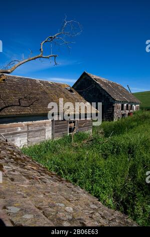 USA, STAAT WASHINGTON, PALOUSE COUNTRY, VERLASSENE FARM Stockfoto