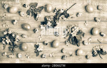 Ostern festliche Wohnung lag auf Holztischgrund mit Apfelbaumzweigen und Blumen, Wachtel- und Hühnereiern. Schwarzweißkomposition im Retro-Alter. Oben Stockfoto