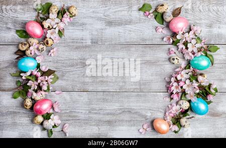 Festlicher Osterhintergrund. Zusammensetzung aus rosafarbenen Apfelbaumblüten, Wachteln und farbig bemalten Ostereiern in Form von zwei Bögen mit Kopierraum zwischen t Stockfoto