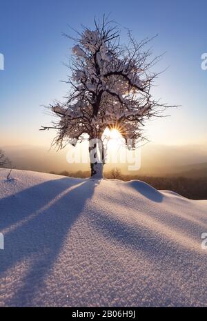 Berglandcape in der Winterzeit mit Wald Stockfoto