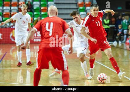 Lubin, POLEN - 2. DEZEMBER 2019: Futsal-Freundschaftsspiel Polen gegen Serbien 4:1. In Aktion waren Mikolaj Zastawnik (7) und Milos Simic (11). Stockfoto