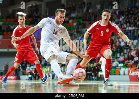 Lubin, POLEN - 2. DEZEMBER 2019: Futsal-Freundschaftsspiel Polen gegen Serbien 4:1. In Aktion Michal Marek (14) und Darko Ristic (8). Stockfoto