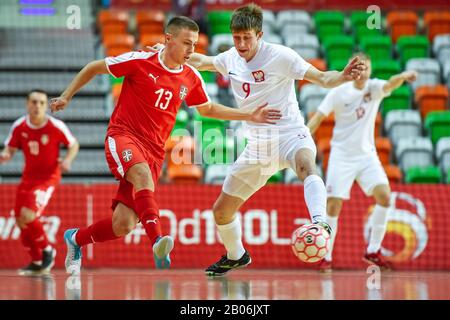 Lubin, POLEN - 2. DEZEMBER 2019: Futsal-Freundschaftsspiel Polen gegen Serbien 4:1. In Aktion Milos Stojkovic (L) und Tomasz Luecki (R). Stockfoto