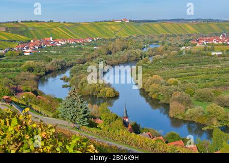 Hauptschleife im Herbst, Holzkohlebrenner bei Volkach, hinter Escherndorf, Nordheim und Vogelsburg, Unterfranken, Franken, Bayern, Deutschland Stockfoto