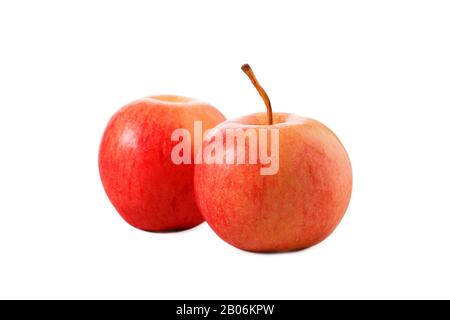 Zwei rote Äpfel isoliert mit Schatten auf weißem Hintergrund. Stockfoto