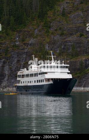 Kreuzfahrtschiff Safari Endeavour vor Anker an der Furten Terror, Endicott Arm Tongass National Forest, Alaska, USA Stockfoto