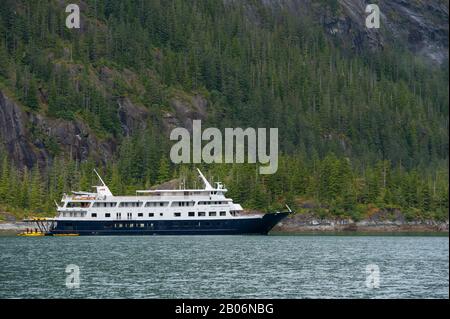 Kreuzfahrtschiff Safari Endeavour vor Anker an der Furten Terror, Endicott Arm Tongass National Forest, Alaska, USA Stockfoto