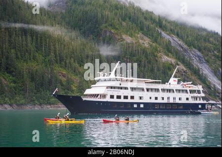 Passagiere der Kreuzfahrt Schiff Safari Endeavour Kajakfahren an Furten Terror, Endicott Arm Tongass National Forest, Alaska, USA Stockfoto