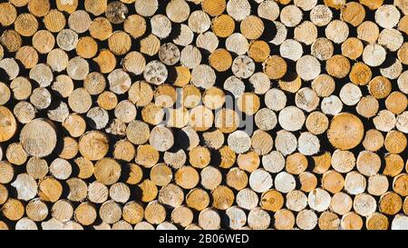 Viele Rundholz in Holzhaufen. Brennholzstapel. Stockfoto