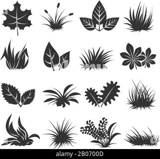 Blätter und Gras-Vektor-Symbole, Pflanzensatz in schwarzer Farbe. Kollektion organisches Kraut in monochromer Illustration Stock Vektor