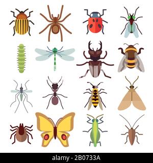Flache Insektensymbole isoliert auf weißem Hintergrund. Wanze und Mücke, Fliege und Spinne. Vektorgrafiken Stock Vektor
