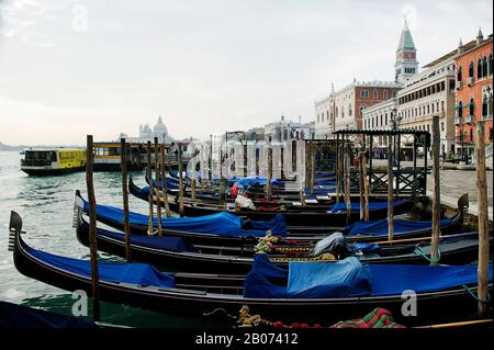 Stadt Venedig, Italien, Europa. Gondeln auf dem Canal Grande mit blauen Abdeckungen Stockfoto