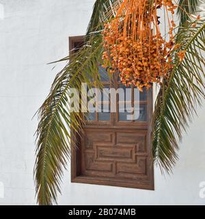 Holzfenster und Fensterläden in weiß getünchten Wänden mit Dattelpalme vor dem Fenster. Datteln in Obst. Stockfoto