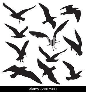 Fliegen Vögel schwarze Silhouetten Vektor-Set. Abbildung: Taube und Falke, Adler und Möwe Stock Vektor
