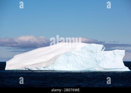 Icebvergs der Nordspitze des antarktischen Peninsular bei Gourdin Island. Stockfoto