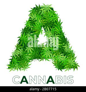 Cannabis Hemp Leaf Logo Stock Vektor