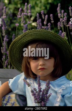 Kleines Mädchen in blauem Kleid, Strohhut und Lavendel Stockfoto