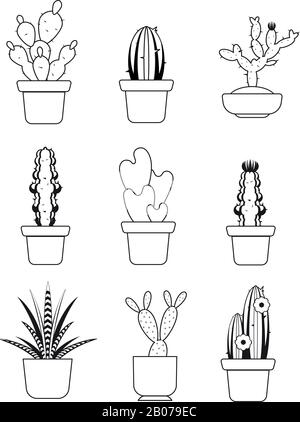 Vektor handgezeichnete Umrisse Kaktus, Wüstendornbaum gesetzt. Tropische Pflanze mit Nadelzeichnung Stock Vektor