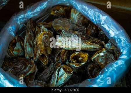 Fischköpfe in einem Fass Jeonju-Samstagsmarkt Südkorea Stockfoto